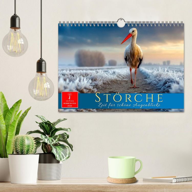 Produktbild: St&ouml;rche - Zeit f&uuml;r sch&ouml;ne Augenblicke (Wandkalender 2026 DIN A4 quer), CALVENDO Monatskalender