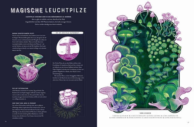 Produktbild: Glow &ndash; Das wundersame Leuchten der Natur