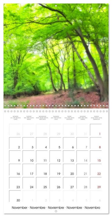 Produktbild: German Landscapes (Wall Calendar 2026 12 &times; 12 Inch) CALVENDO 12 Month Wall Calendar