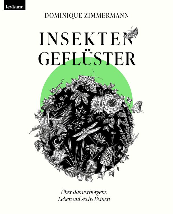Produktbild: Insektengefl&uuml;ster - &Uuml;ber das verborgene Leben auf sechs Beinen