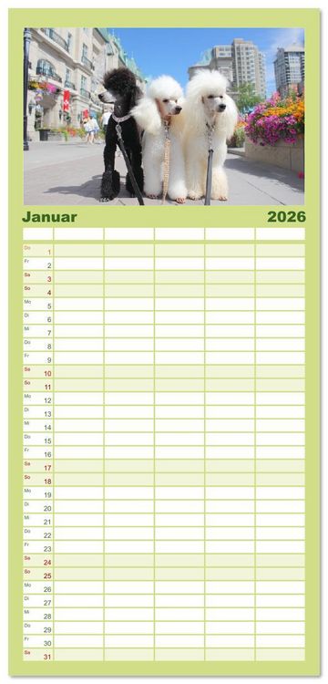 Produktbild: Familienplaner 2026 - Pudel in der Stadt. Urbane Momente voller Charme und Lebensfreude mit 5 Spalten (Wandkalender, 21 x 45 cm) CALVENDO