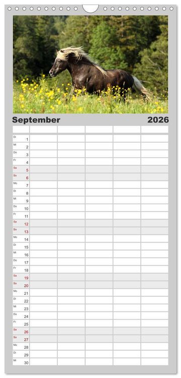 Produktbild: Familienplaner 2026 - Pferde - im Galopp durch's Jahr mit 5 Spalten (Wandkalender, 21 x 45 cm) CALVENDO