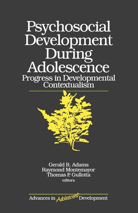 Produktbild: Psychosocial Development During Adolescence
