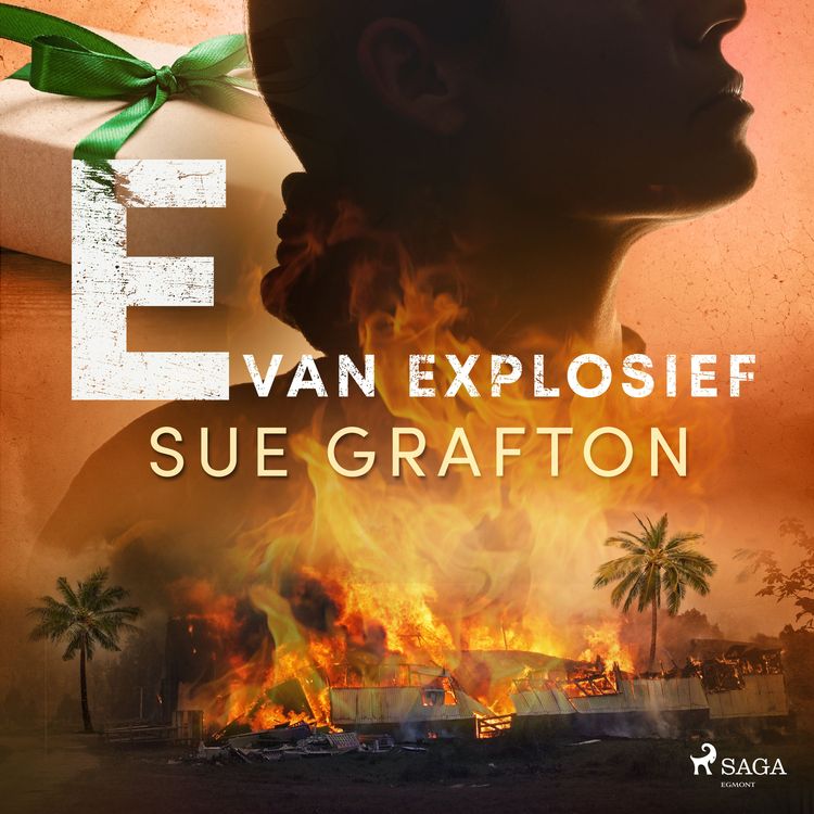 Bild vom Artikel E van explosief vom Autor Sue Grafton