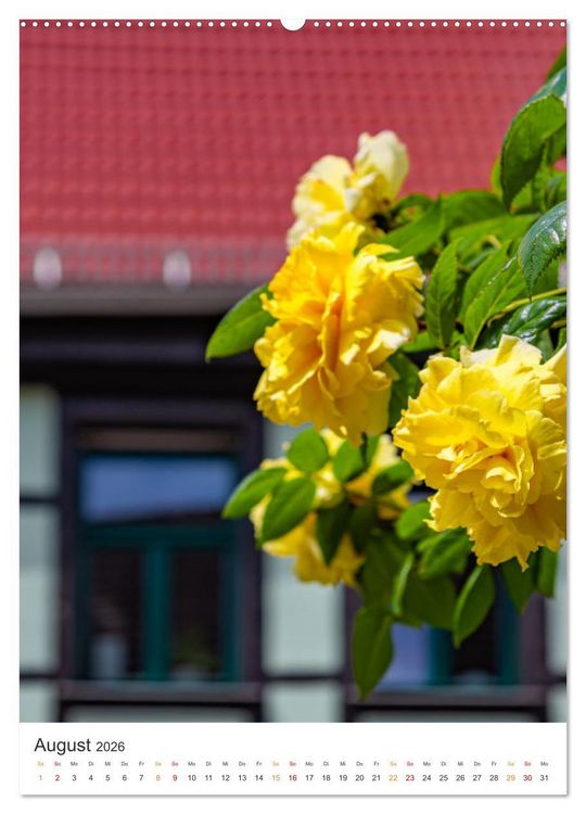 Produktbild: Die Stadt Sangerhausen (hochwertiger Premium Wandkalender 2026 DIN A2 hoch), Kunstdruck in Hochglanz