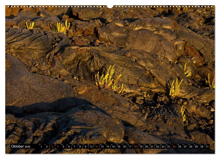 Produktbild: Hawai'i - Teil 1 (hochwertiger Premium Wandkalender 2026 DIN A2 quer), Kunstdruck in Hochglanz