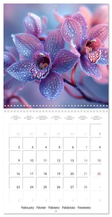 Produktbild: colorful orchid family planner (Wall Calendar 2026 12 &times; 12 Inch) CALVENDO 12 Month Wall Calendar