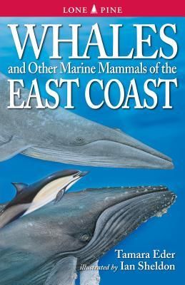 Produktbild: Whales and Other Marine Mammals of the East Coast