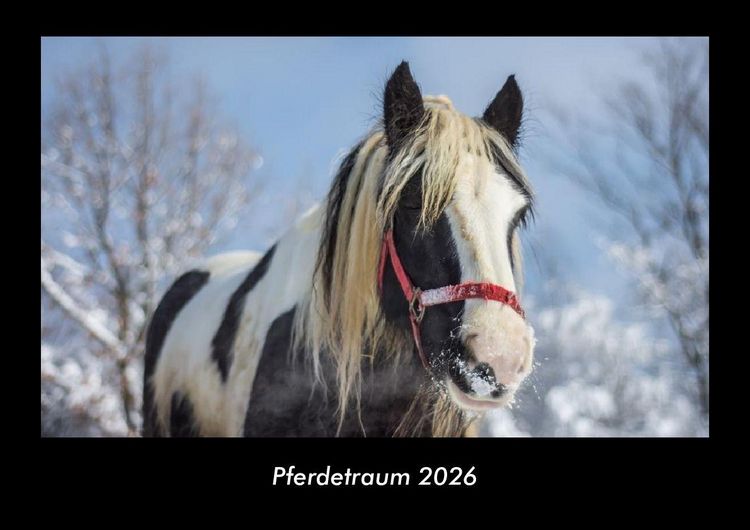 Produktbild: Pferdetraum 2026 Fotokalender DIN A3