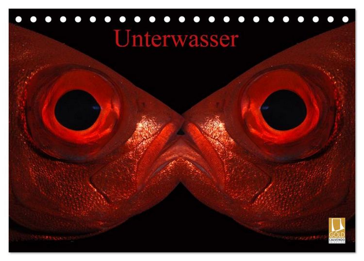 Produktbild: Unterwasser (Tischkalender 2026 DIN A5 quer), CALVENDO Monatskalender