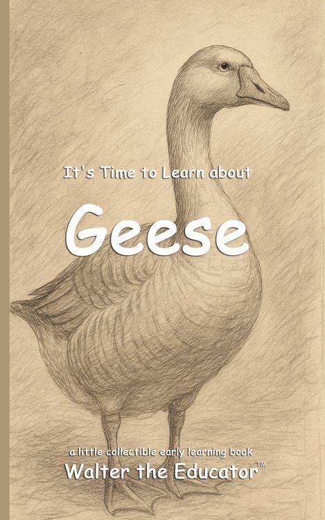 Produktbild: It's Time to Learn about Geese