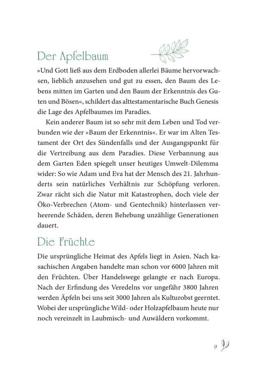 Produktbild: Baumhoroskop der Kelten
