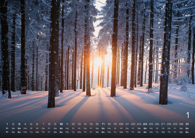Produktbild: Moments - wundervolle Momentaufnahmen - 2027 - Kalender DIN A2