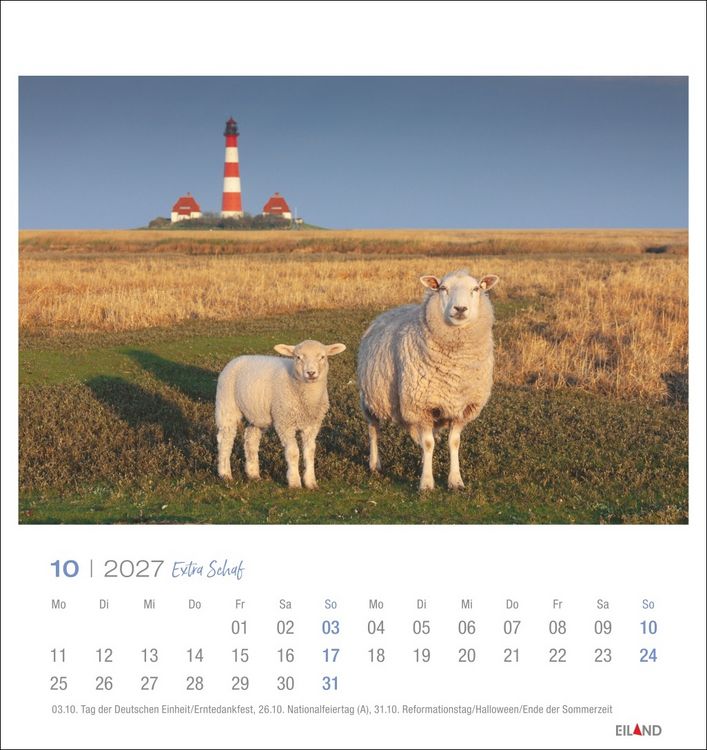 Produktbild: Extra Schaf Postkartenkalender 2027