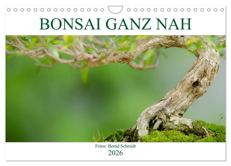 Produktbild: Bonsai ganz nah (Wandkalender 2026 DIN A4 quer), CALVENDO Monatskalender
