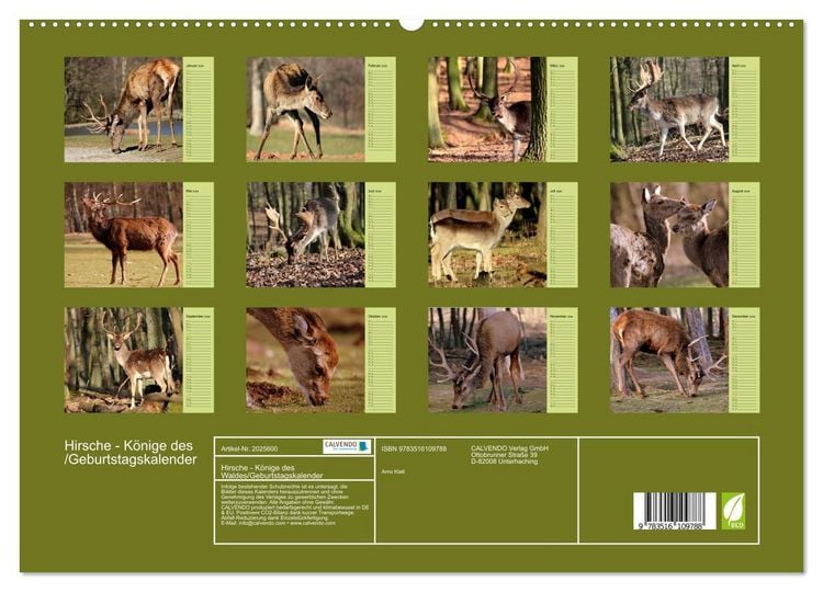 Produktbild: Hirsche - K&ouml;nige des Waldes/Geburtstagskalender (hochwertiger Premium Wandkalender 2026 DIN A2 quer), Kunstdruck in Hochglanz
