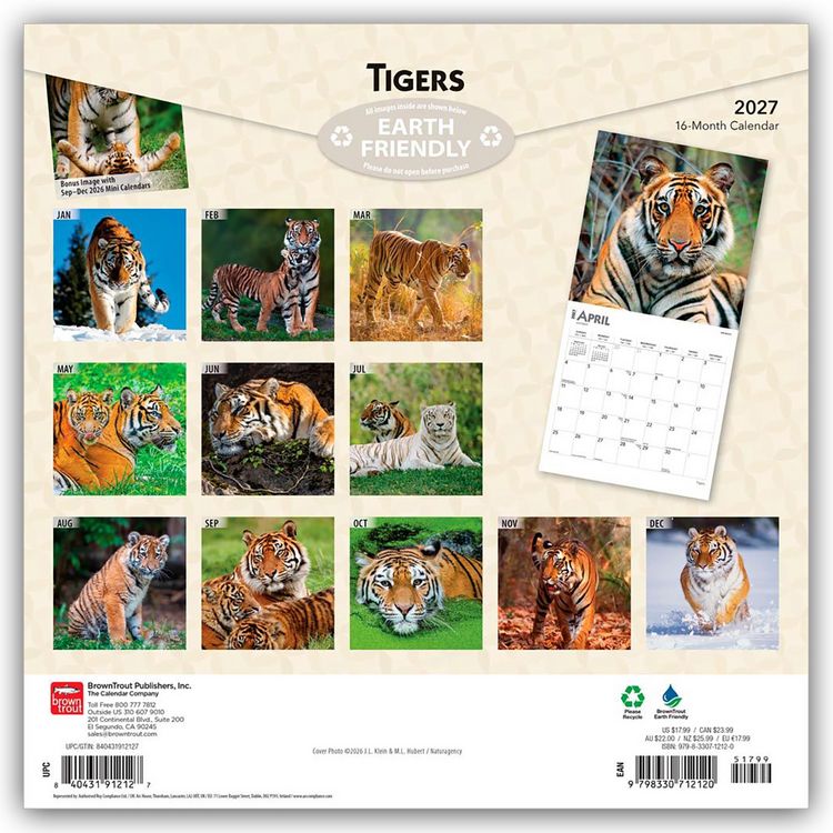 Produktbild: Tigers &ndash; Tiger 2027 &ndash; 16-Monatskalender