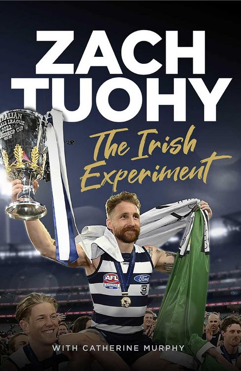 Produktbild: The Irish Experiment