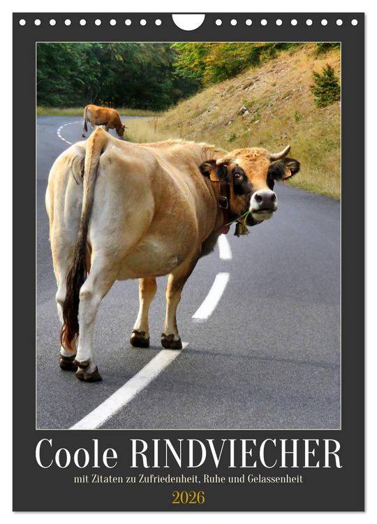 Produktbild: Coole Rindviecher (Wandkalender 2026 DIN A4 hoch), CALVENDO Monatskalender