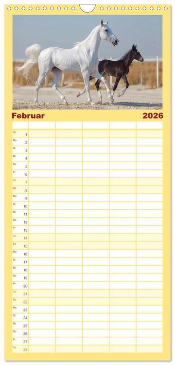 Produktbild: Familienplaner 2026 - Bezaubernde Eleganz wei&szlig;er Pferde mit 5 Spalten (Wandkalender, 21 x 45 cm) CALVENDO