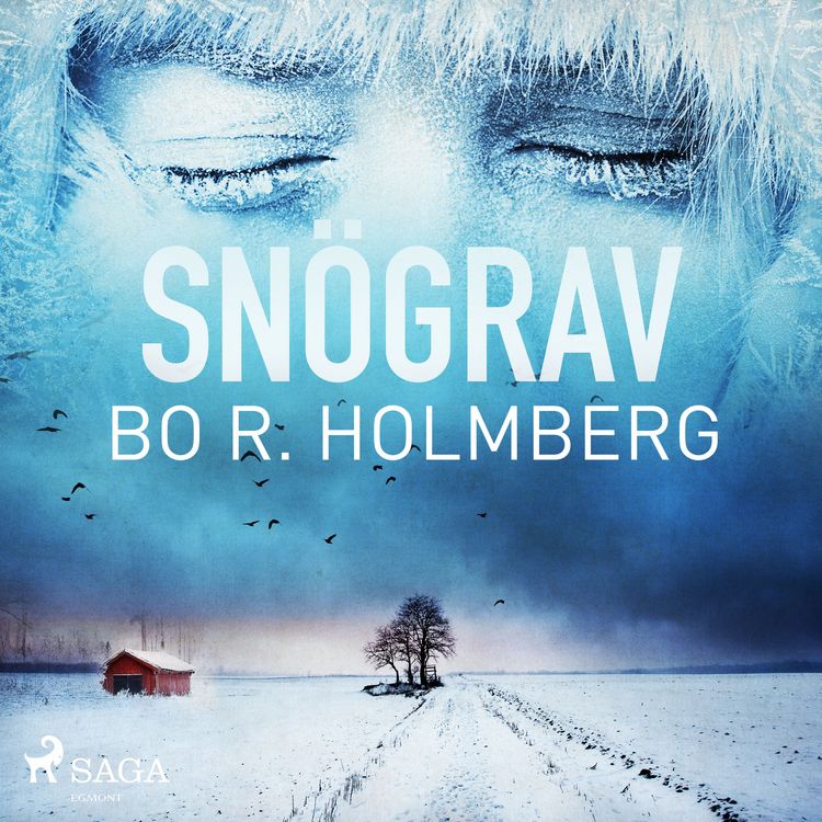Produktbild: Sn&ouml;grav