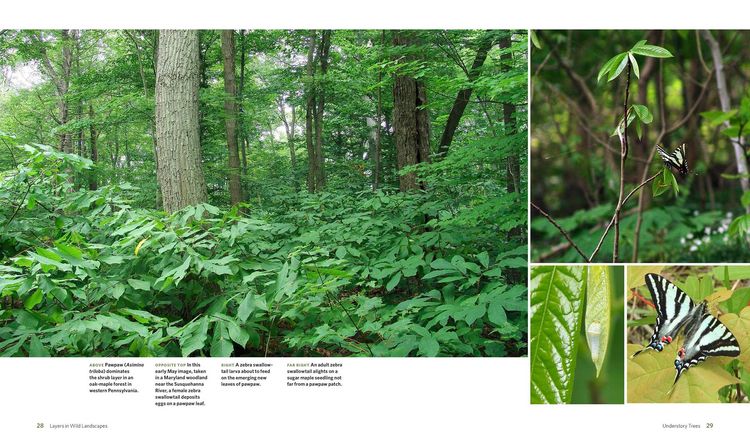 Produktbild: The Living Landscape