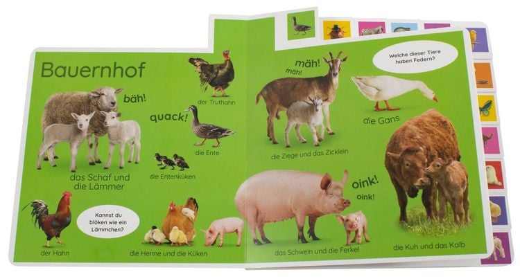Produktbild: Erstes Lernen. Tiere