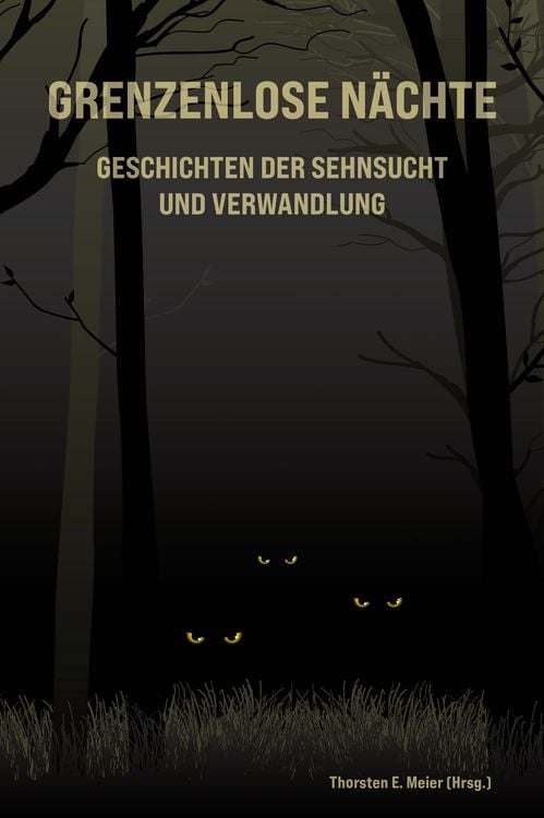 Produktbild: Grenzenlose N&auml;chte - Geschichten der Sehnsucht und Verwandlung