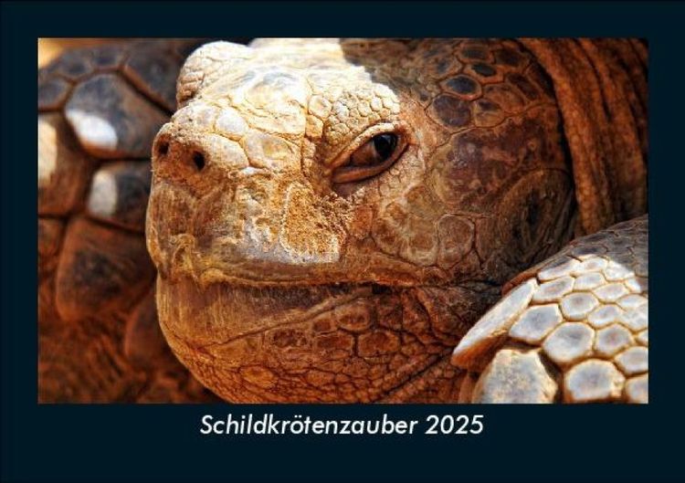 Produktbild: Schildkrötenzauber 2025 Fotokalender DIN A5