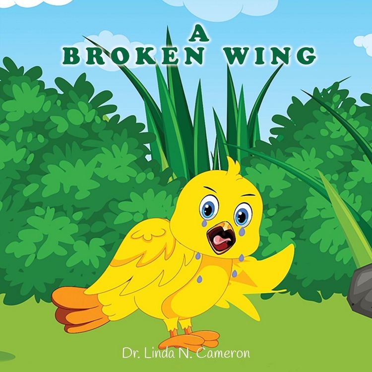 Produktbild: A Broken Wing