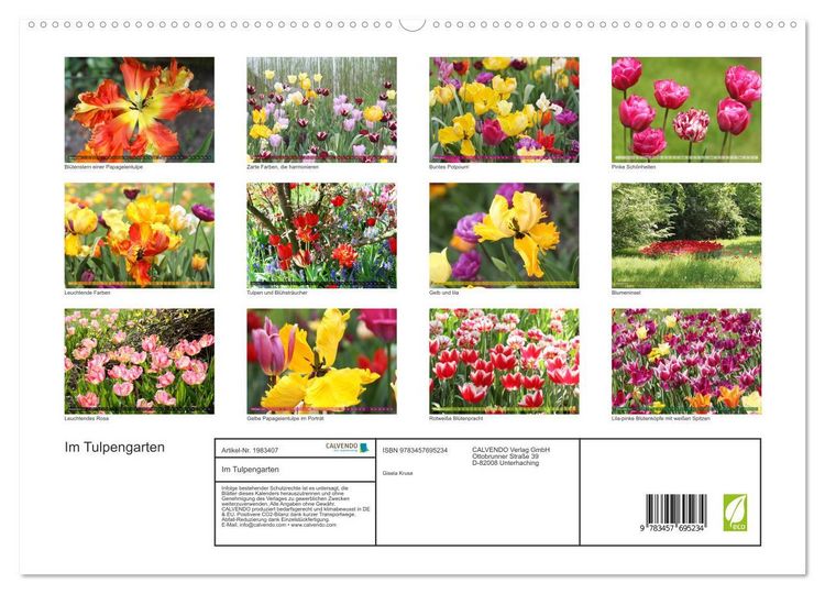 Produktbild: Im Tulpengarten (hochwertiger Premium Wandkalender 2026 DIN A2 quer), Kunstdruck in Hochglanz