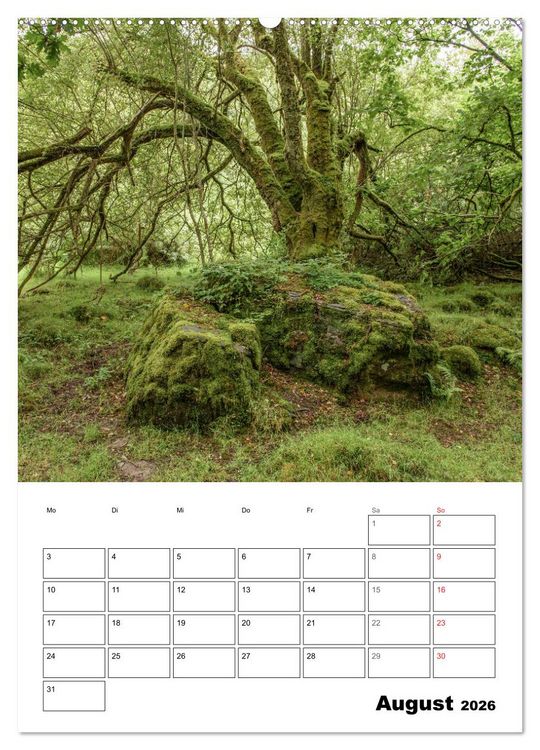 Produktbild: Foto-Momente S&uuml;d-England - Magische Orte (hochwertiger Premium Wandkalender 2026 DIN A2 hoch), Kunstdruck in Hochglanz