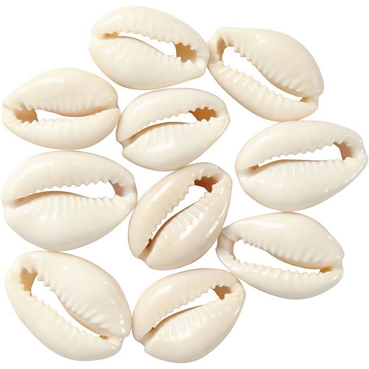 Produktbild: Creativ Company Muschelperlen, L 20 mm, Natur, 12 Stk
