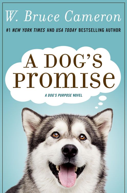 Produktbild: A Dog's Promise