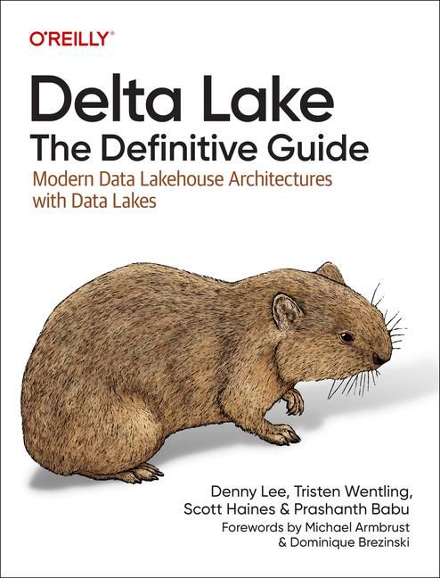 Produktbild: Delta Lake: The Definitive Guide