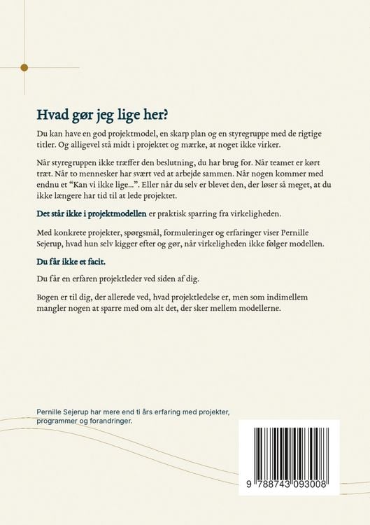 Produktbild: Det st&aring;r ikke i projektmodellen