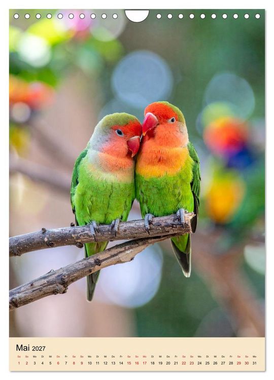 Produktbild: Lovebirds Harmonie (Wandkalender 2027 DIN A4 hoch), CALVENDO Monatskalender