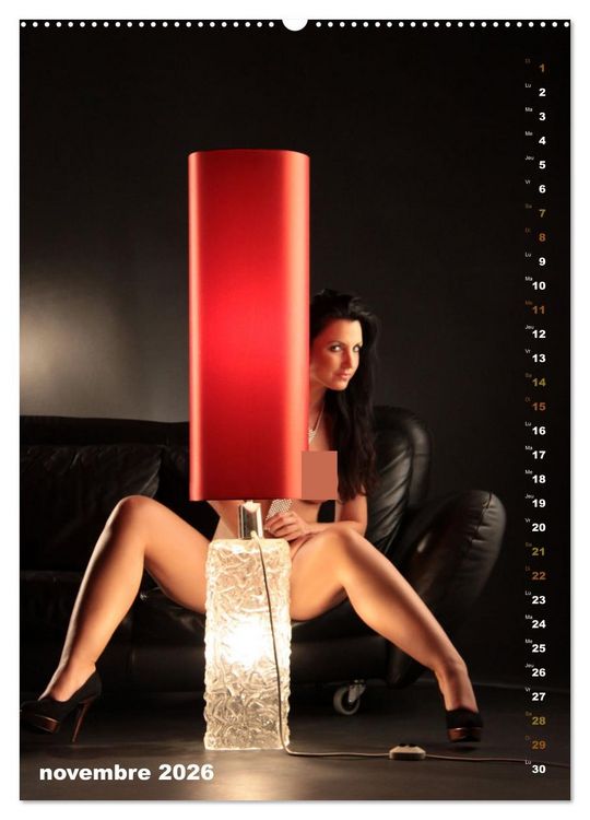 Produktbild: Le canap&eacute; (Calendrier mural 2026 DIN A2 horizontal) calendrier de bureau