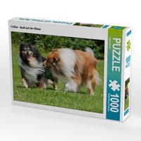 Produktbild: CALVENDO Puzzle Collies - Spa&szlig; auf der Wiese 1000 Teile Lege-Gr&ouml;&szlig;e 64 x 48 cm Foto-Puzzle Bild von Sigrid Starick