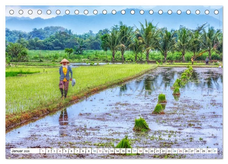 Produktbild: Java, Indonesische Insel im Feuerring (Tischkalender 2026 DIN A5 quer), CALVENDO Monatskalender