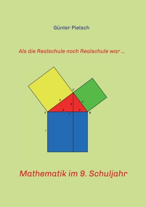 Produktbild: Mathematik im 9. Schuljahr