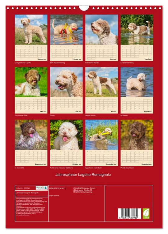 Produktbild: Jahresplaner Lagotto Romagnolo (Wandkalender 2026 DIN A3 hoch), CALVENDO Monatskalender