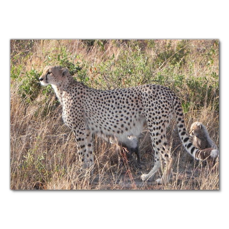 Produktbild: Lais Puzzle Gepard 1000 Teile