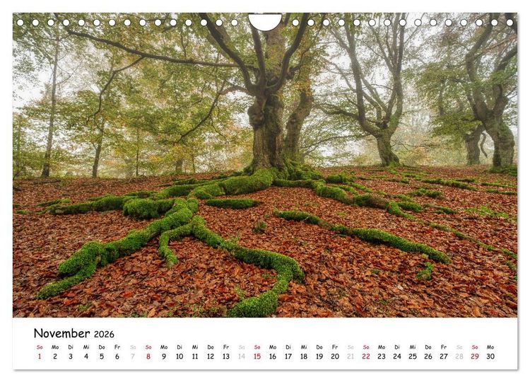 Produktbild: Fotogenes Nordhessen (Wandkalender 2026 DIN A4 quer), CALVENDO Monatskalender