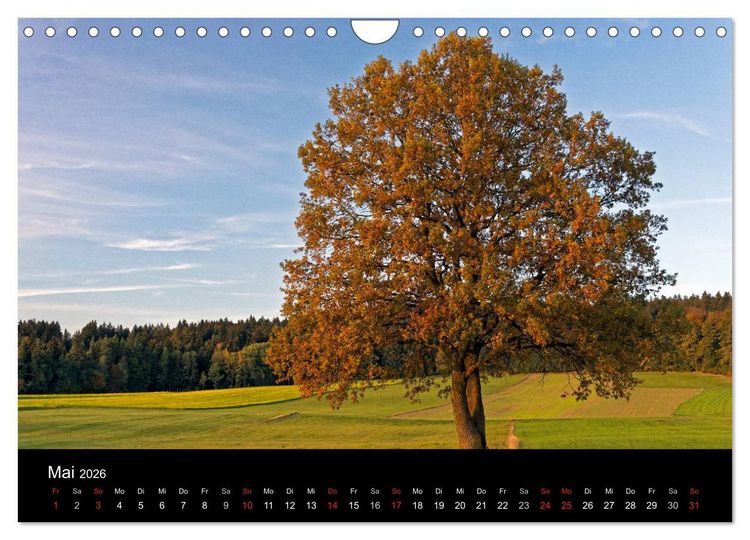 Produktbild: Herbst im Nationalpark Bayerischer Wald (Wandkalender 2026 DIN A4 quer), CALVENDO Monatskalender