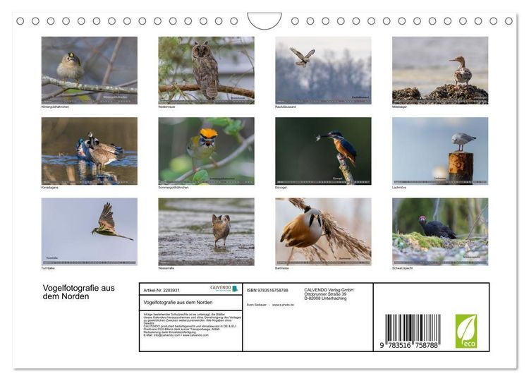Produktbild: Vogelfotografie aus dem Norden (Wandkalender 2027 DIN A4 quer), CALVENDO Monatskalender