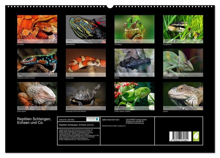 Produktbild: Reptilien Schlangen, Echsen und Co. (hochwertiger Premium Wandkalender 2026 DIN A2 quer), Kunstdruck in Hochglanz