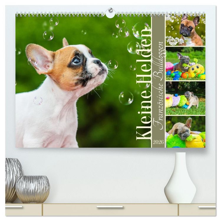 Produktbild: Kleine Helden - Franz&ouml;sische Bulldoggen (hochwertiger Premium Wandkalender 2026 DIN A2 quer), Kunstdruck in Hochglanz
