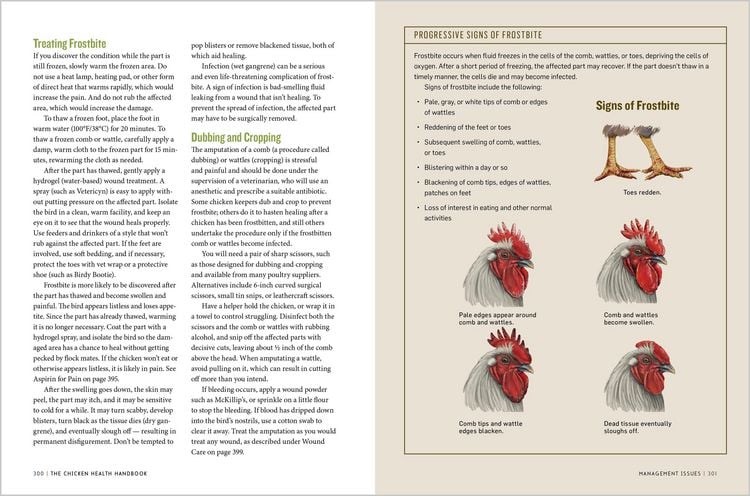 Produktbild: The Chicken Health Handbook, 2nd Edition