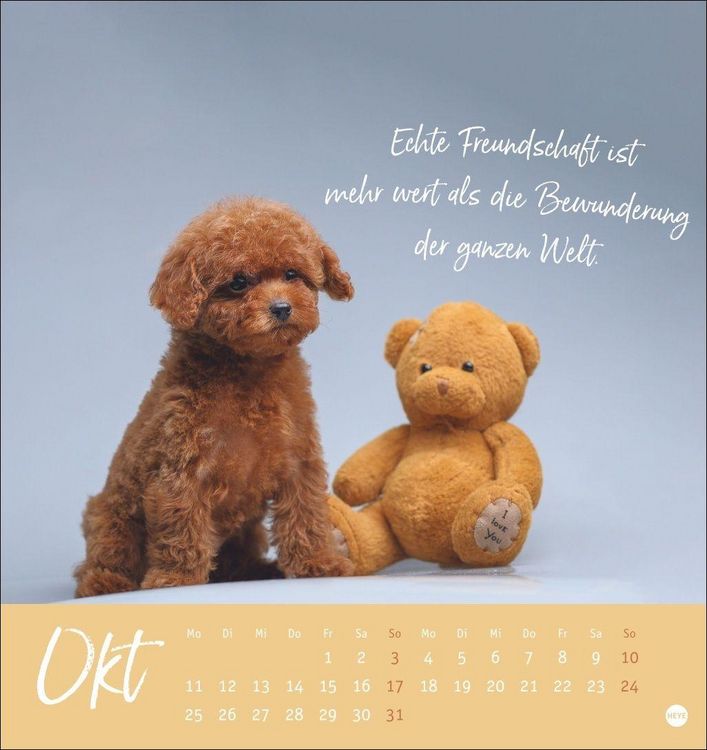 Produktbild: Ziemlich beste Freunde Postkartenkalender 2027 - F&uuml;r immer dein
